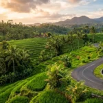 Woman drive bike on Bali